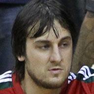 Andrew Bogut Age