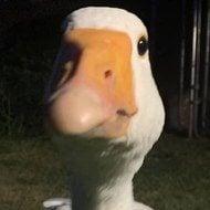 Dolan Dark Age