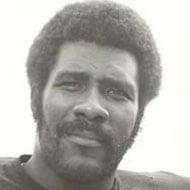 Joe Greene Age